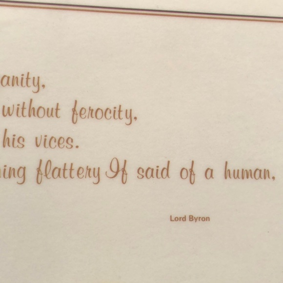 NWT Reversible Pet Bowl Dog food or water Plasticized Floor Placemat! - Picture 8 of 16